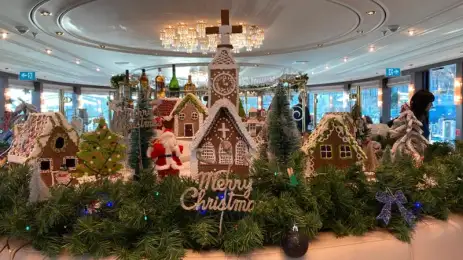 Customer image on Enchanting Rhine & Yuletide Markets River Cruise