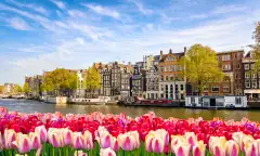 Amsterdam buildings on the canal with a tulip frame