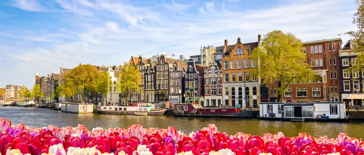 Amsterdam buildings on the canal with a tulip frame